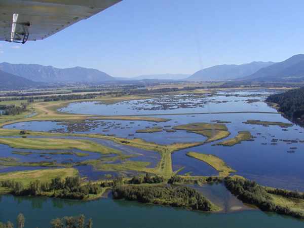 Kootenay_River_Marshes_in_the_Creston_Valley_Wildlife_Management_Area_